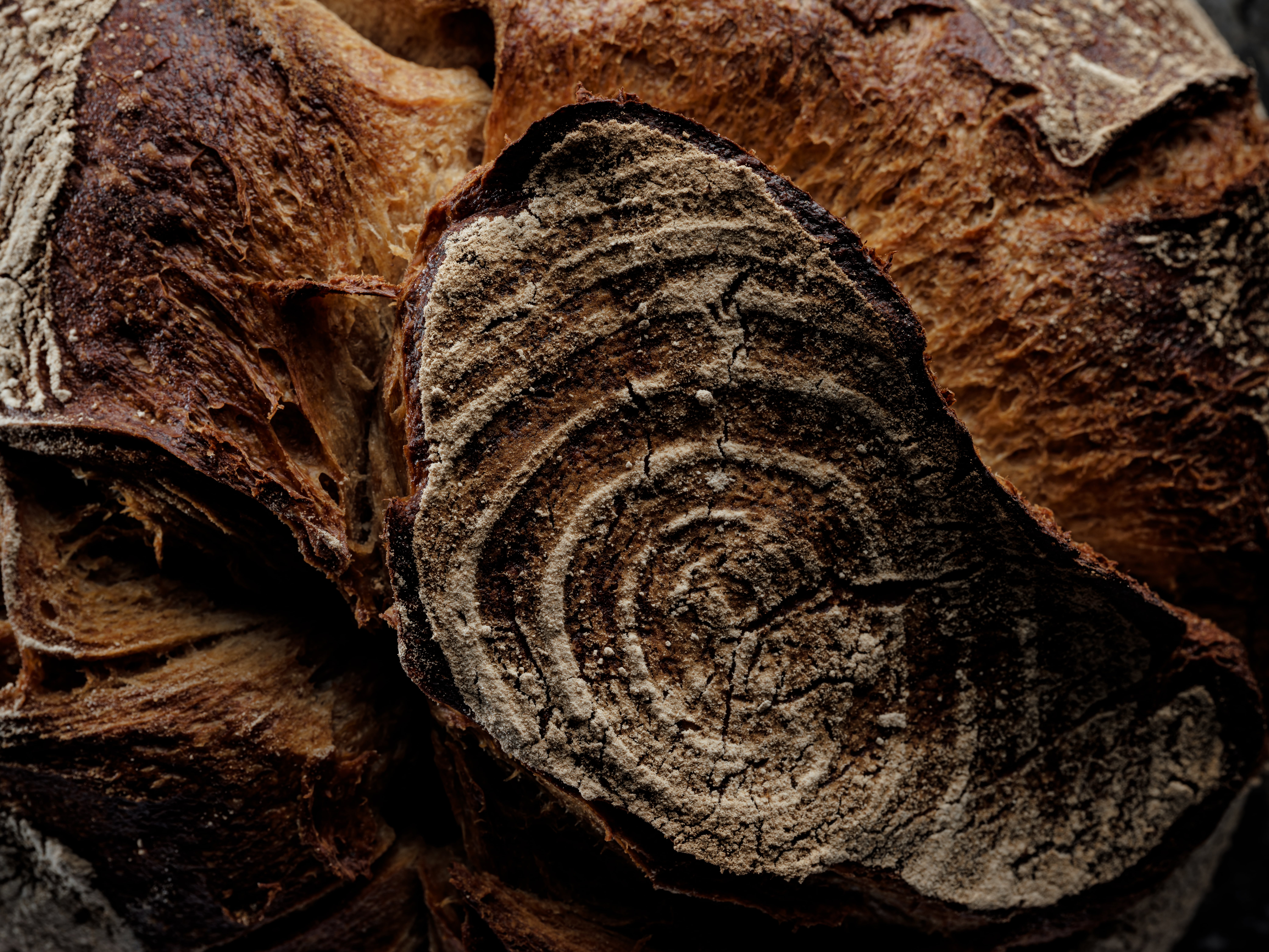 Frisches Sauerteigbrot von Bio Bäckerei Öfferl