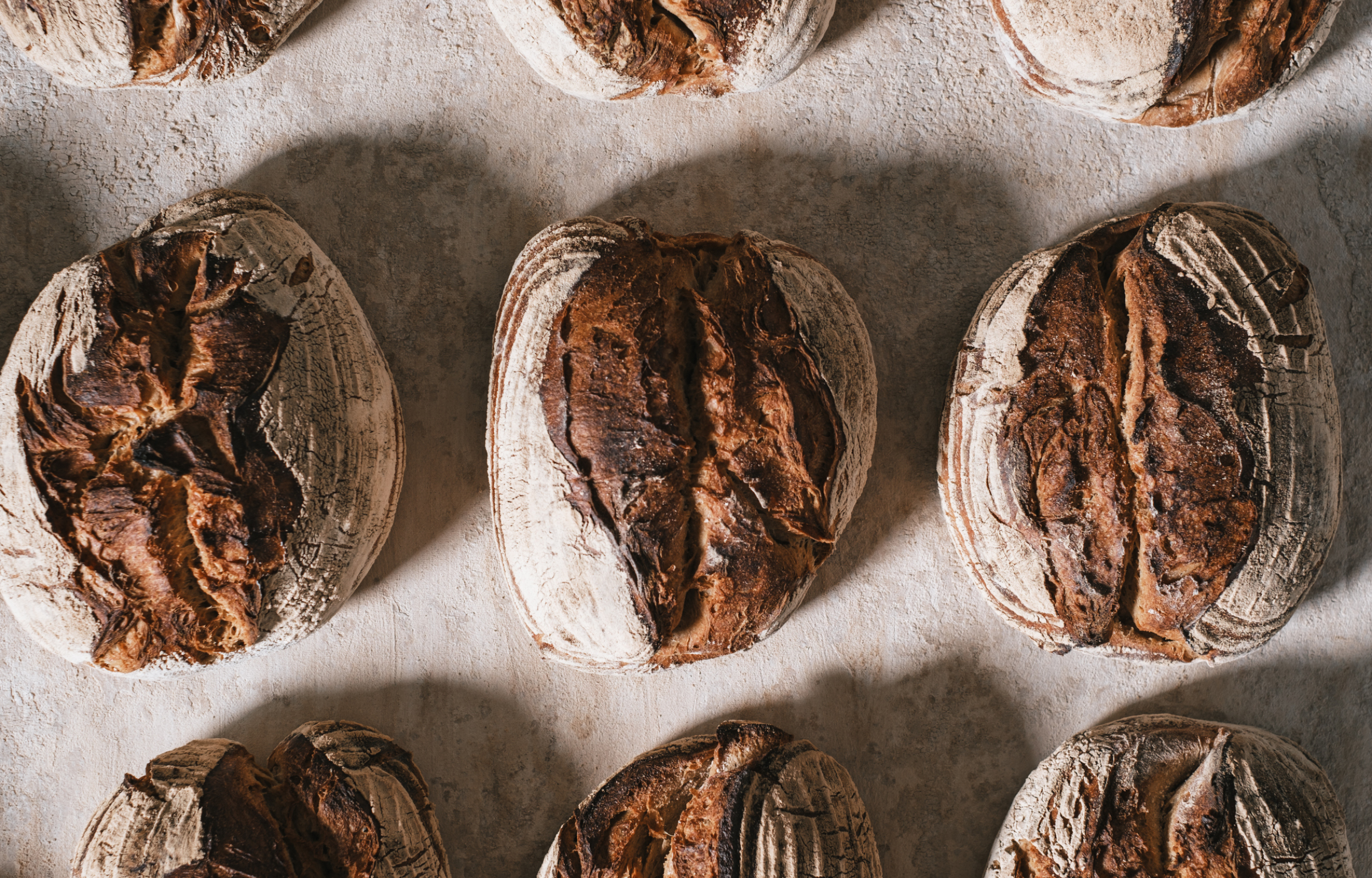 Bio Mademoiselle Crousto