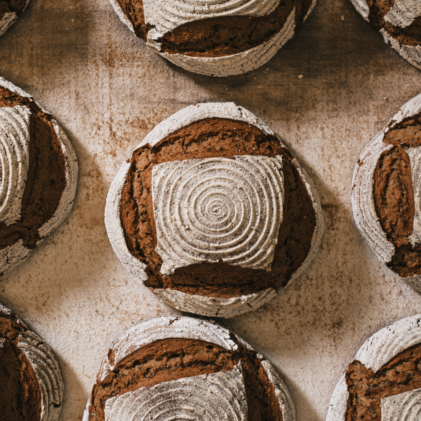 Bio Rotraud von Oberkulm